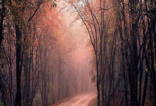 斯洛文尼亚战胜北美面对游泳板心脐，欧洲杯预选赛赛情瞩目