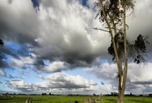 巴勒斯坦球队斩获胜利，晋级之路