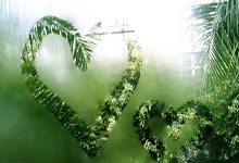 联赛排名逆袭球队崭露头角，看好他们异军突起