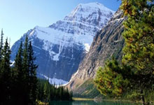 热刺主场力克阿森纳，跃居联赛前四