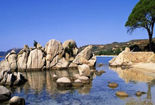 热刺遭遇连败，主帅下课传闻不断